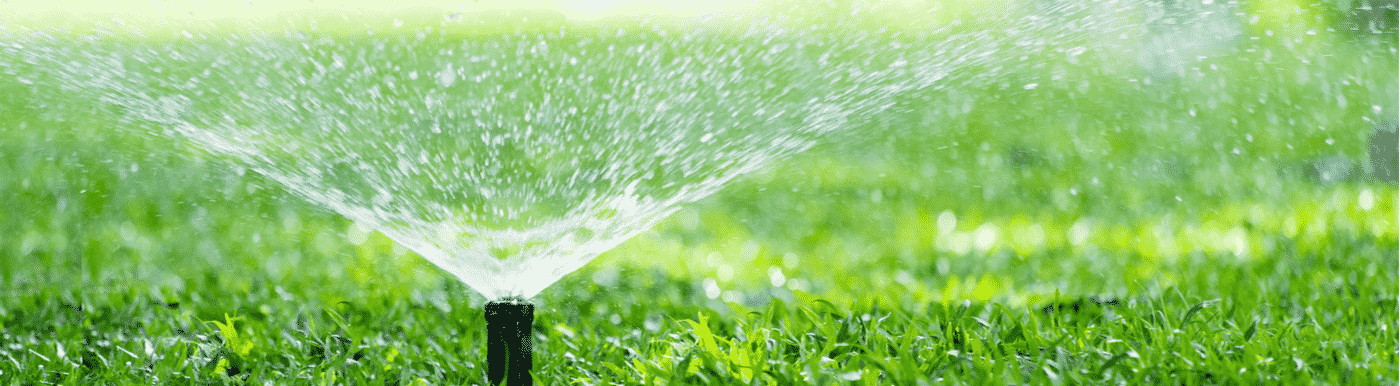 Software for Lawn Care