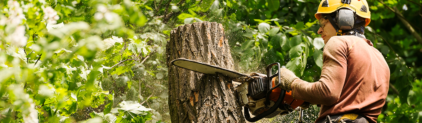 Tree Service Software – Header Banner