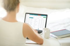 Customer Portal for Clients