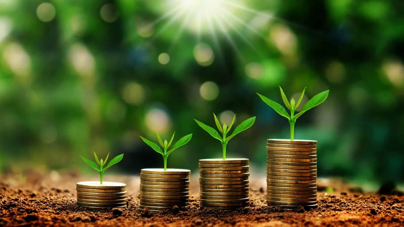 Sustainable Construction Companies Win More Business
